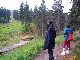 013